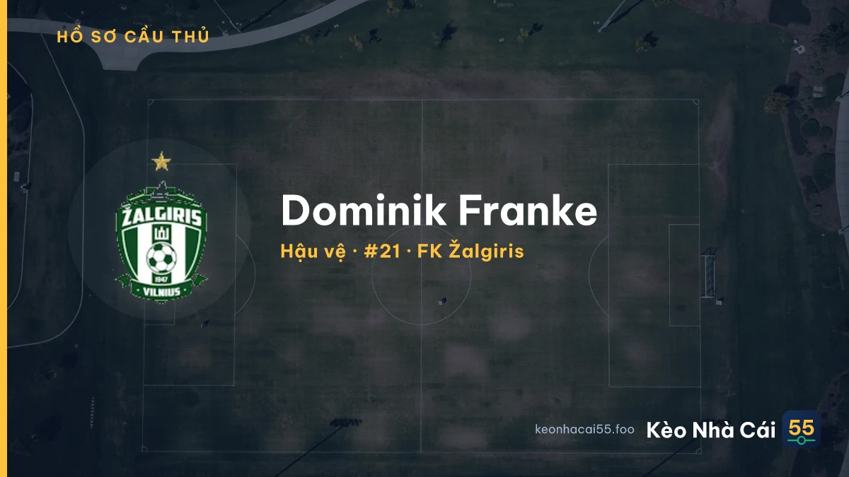 Dominik Franke — FK Žalgiris