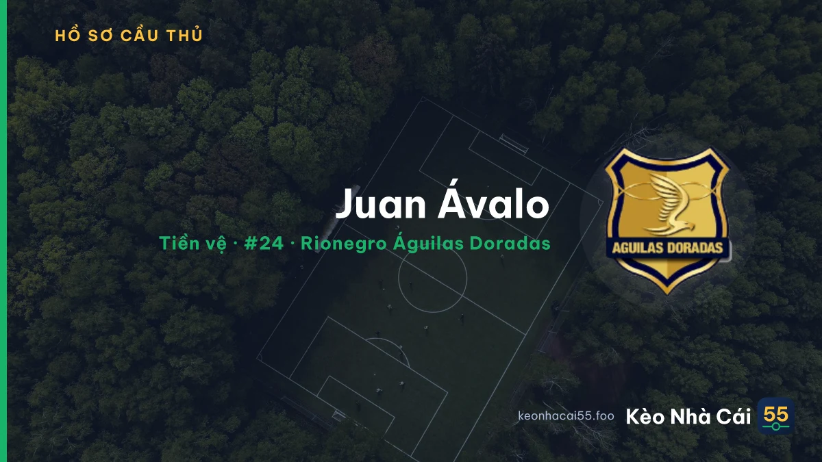 Juan Ávalo — Rionegro Águilas Doradas