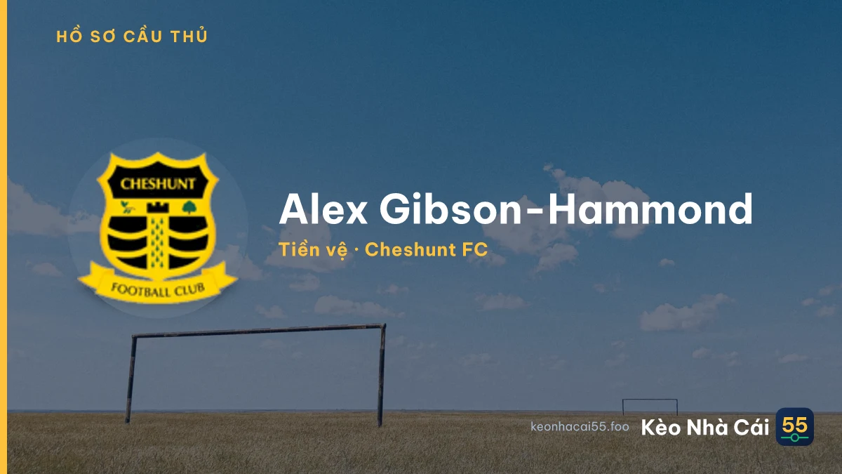 Alex Gibson-Hammond — Cheshunt FC