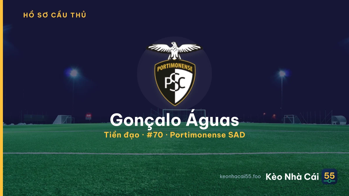 Gonçalo Águas — Portimonense SAD