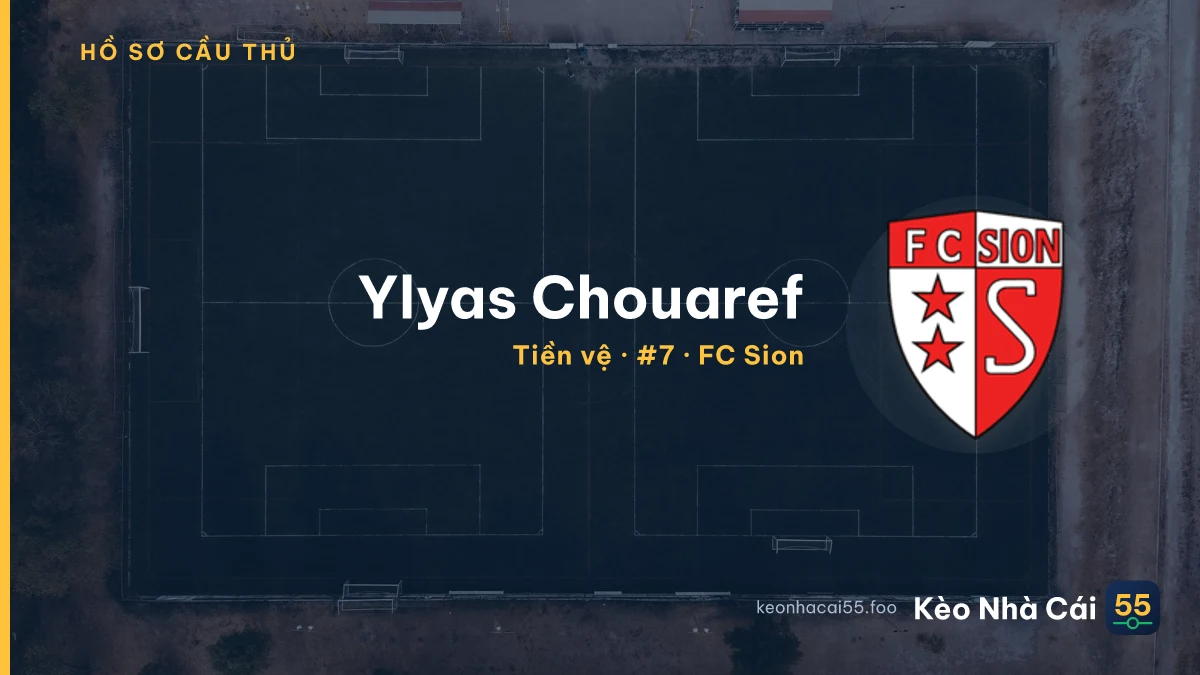 Ylyas Chouaref — FC Sion