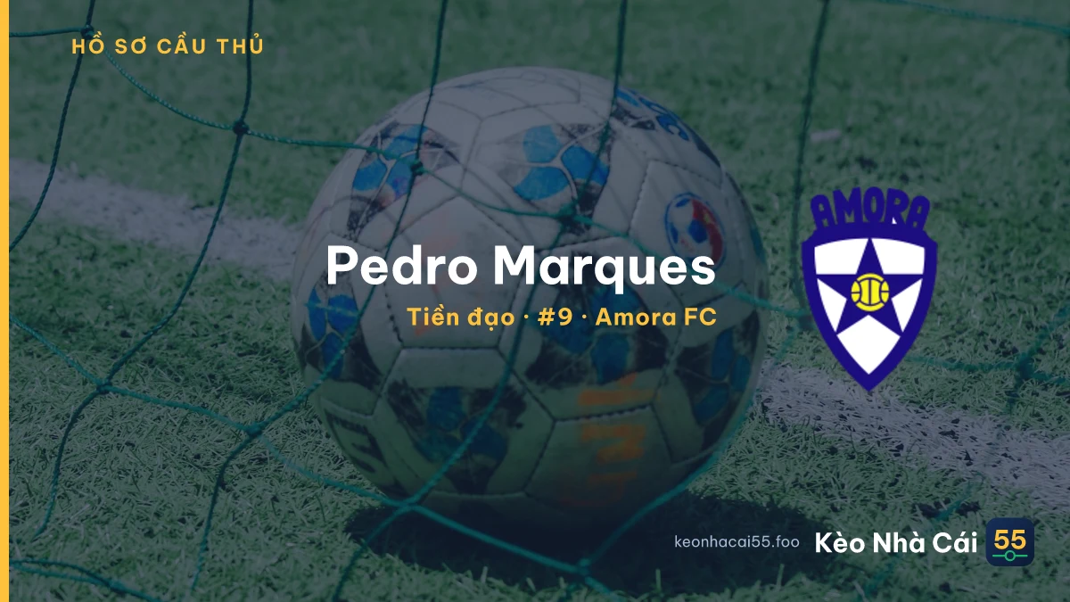 Pedro Marques — Amora FC