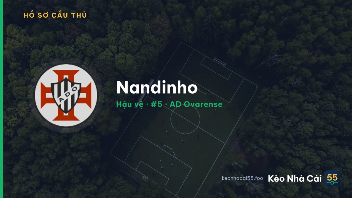 Nandinho — AD Ovarense