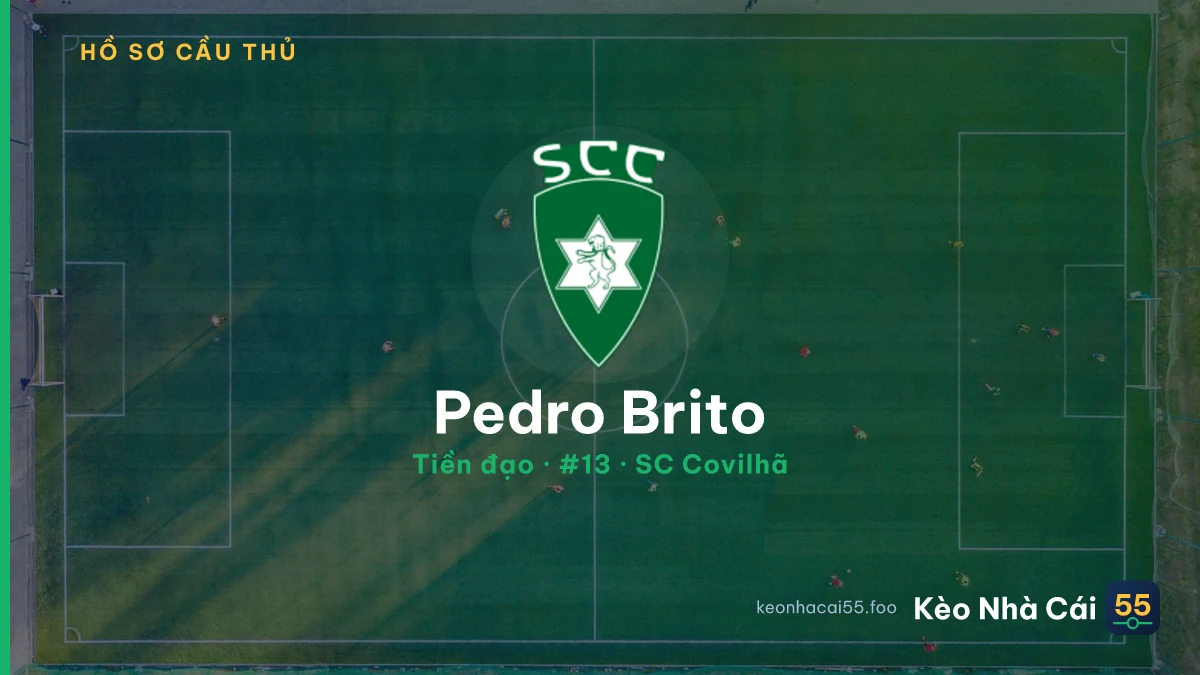 Pedro Brito — SC Covilhã