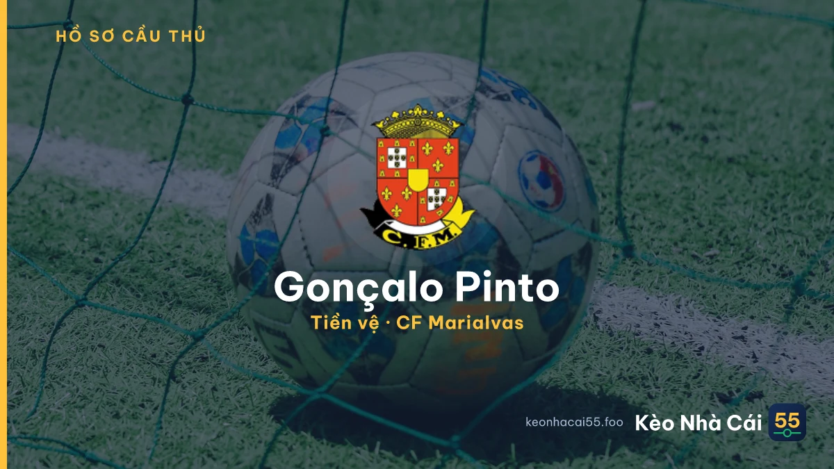 Gonçalo Pinto — CF Marialvas