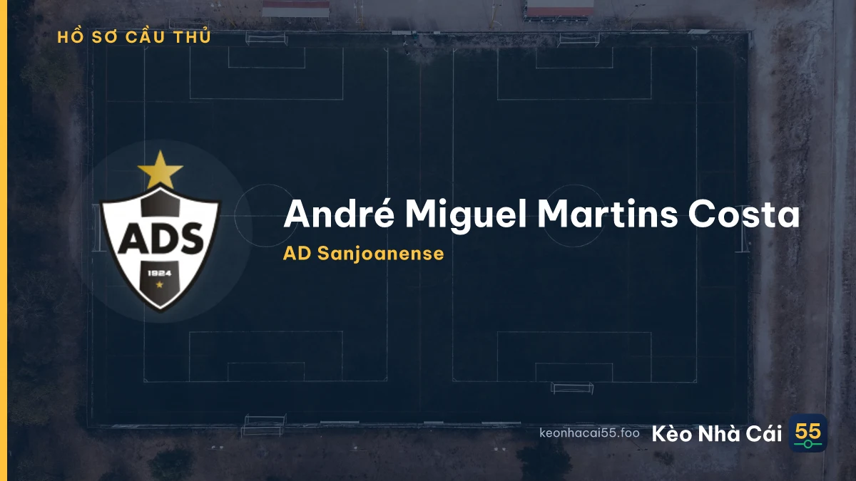 André Miguel Martins Costa — AD Sanjoanense
