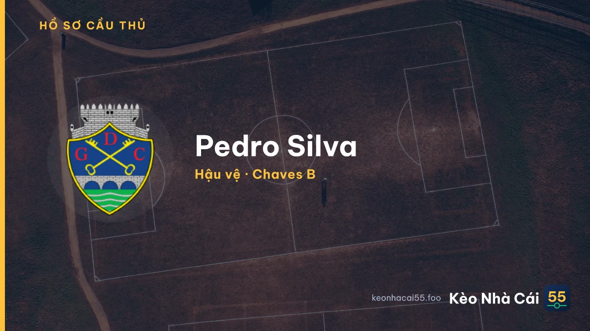 Pedro Silva — Chaves B