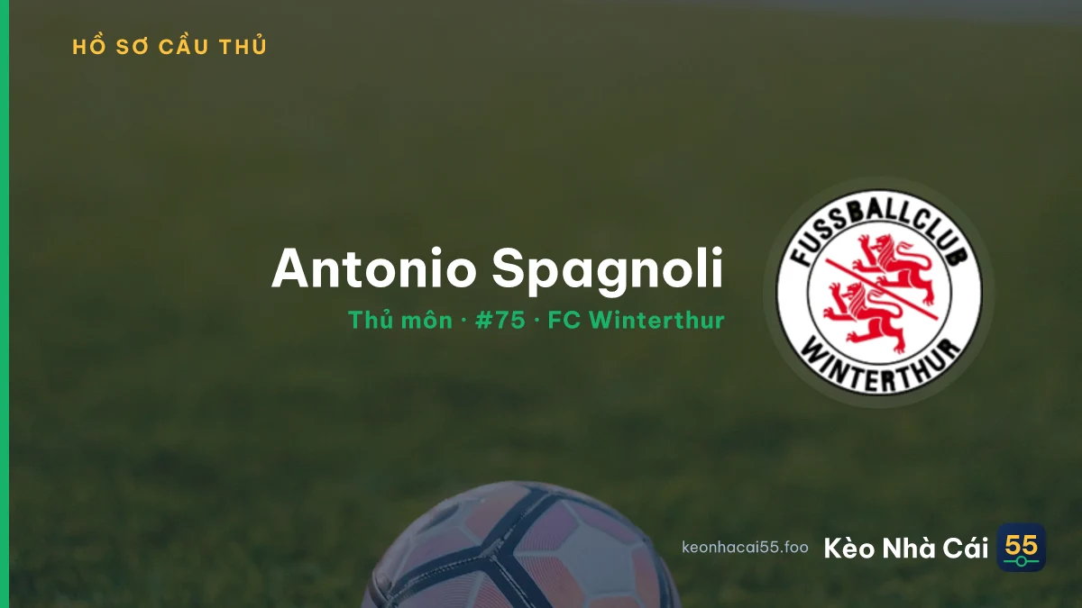 Antonio Spagnoli — FC Winterthur