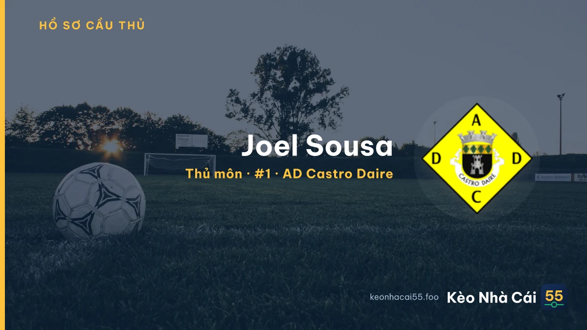Joel Sousa — AD Castro Daire