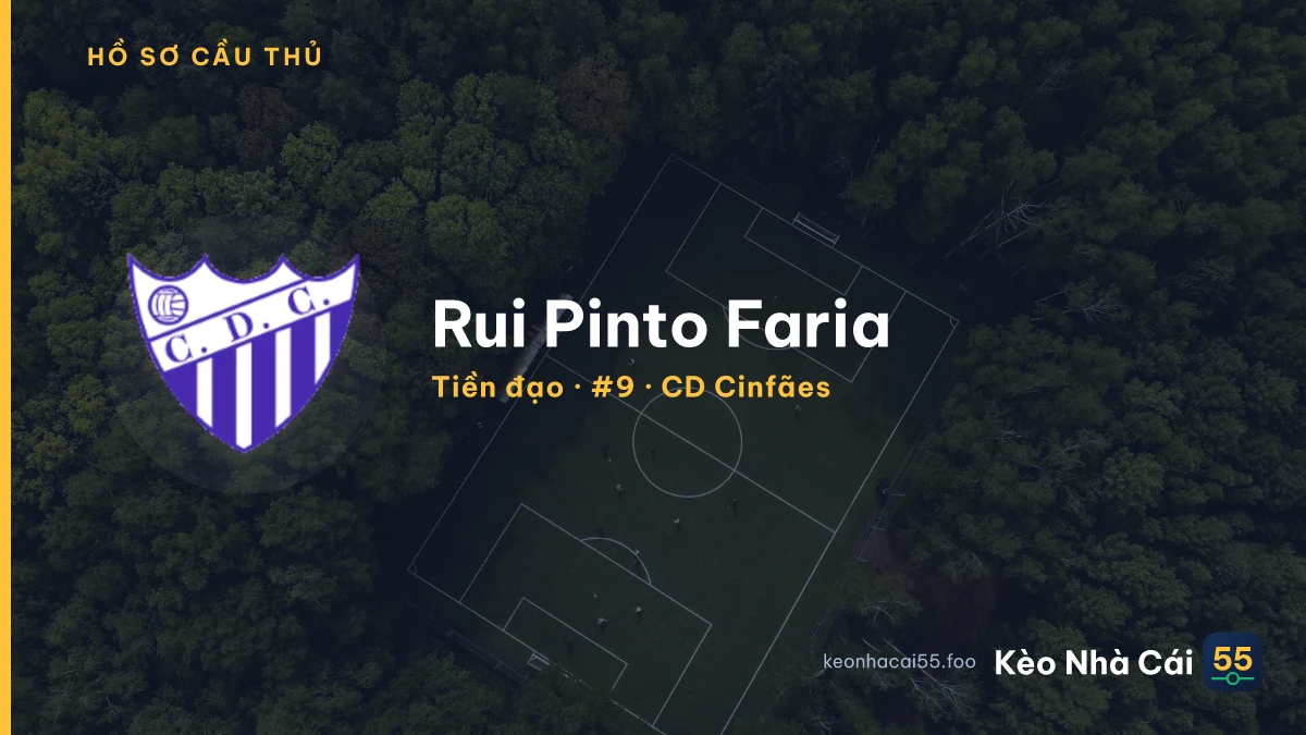 Rui Pinto Faria — CD Cinfães