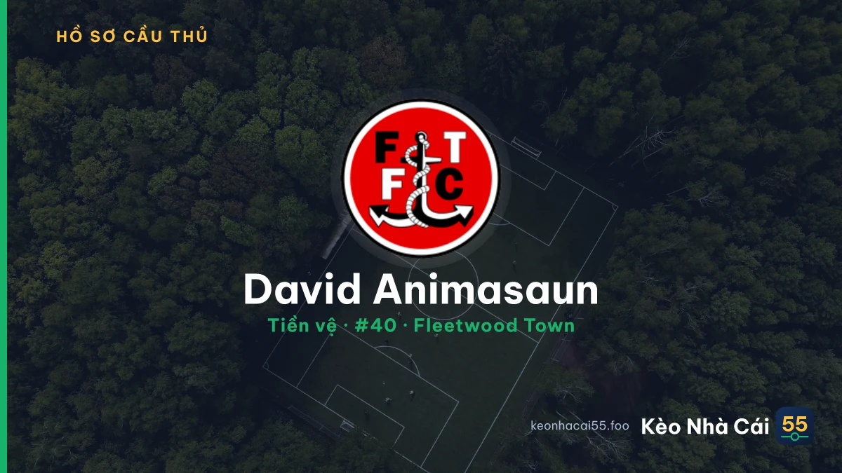 David Animasaun — Fleetwood Town