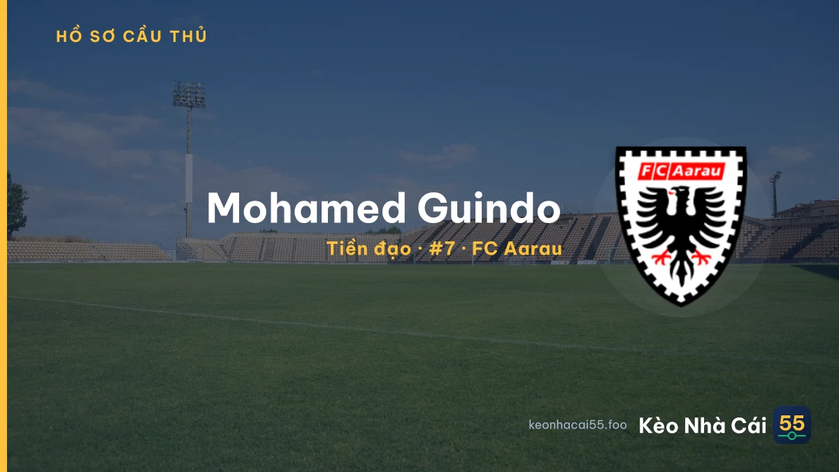 Mohamed Guindo — FC Aarau