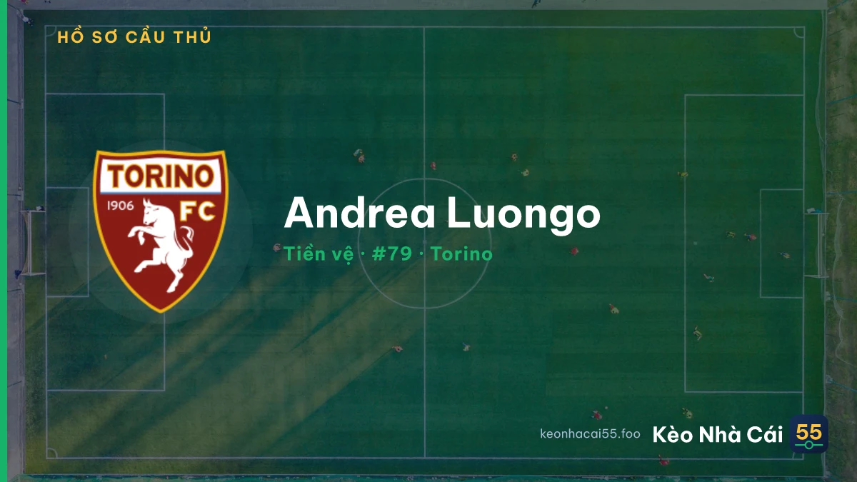 Andrea Luongo — Torino