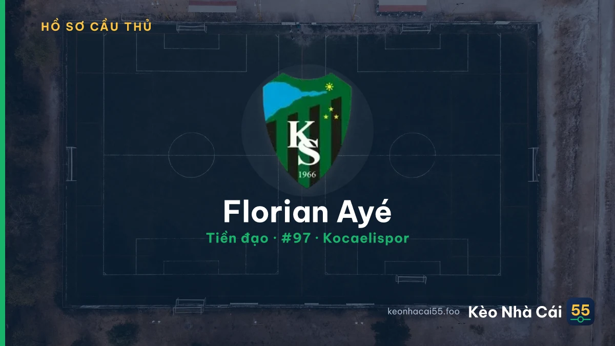 Florian Ayé — Kocaelispor