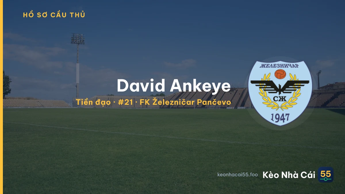 David Ankeye — FK Železničar Pančevo