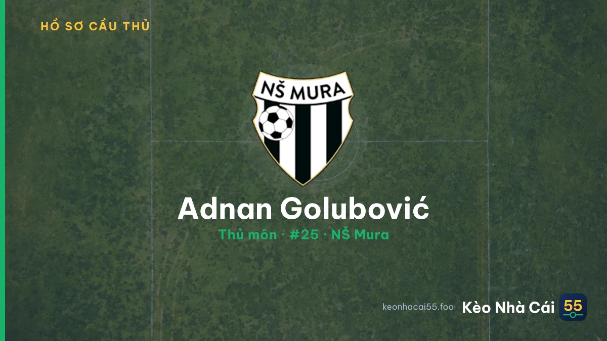 Adnan Golubović — NŠ Mura