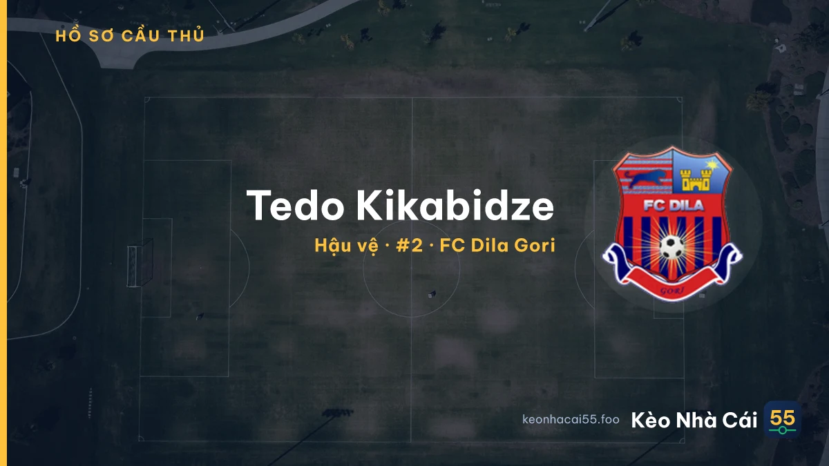 Tedo Kikabidze — FC Dila Gori