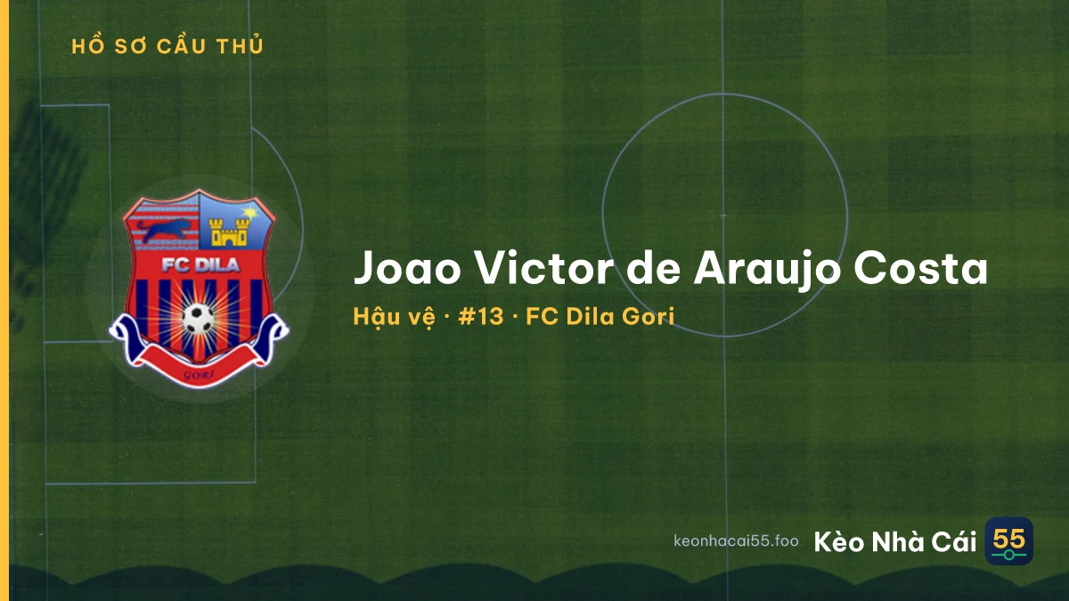 Joao Victor de Araujo Costa — FC Dila Gori