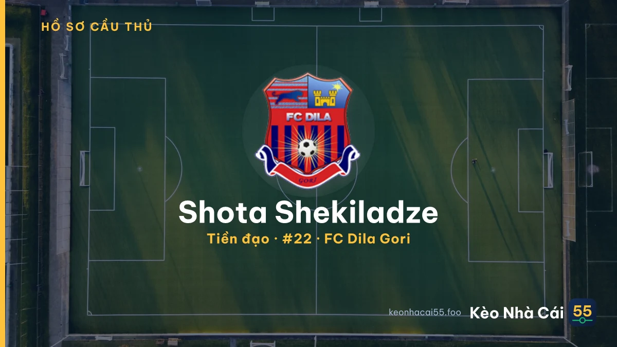 Shota Shekiladze — FC Dila Gori