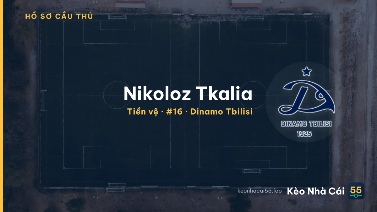 Nikoloz Tkalia — Dinamo Tbilisi