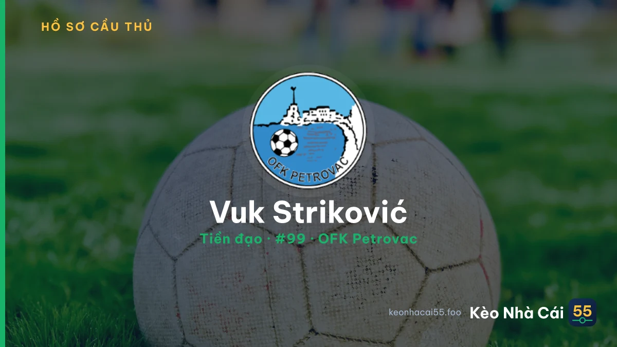Vuk Striković — OFK Petrovac