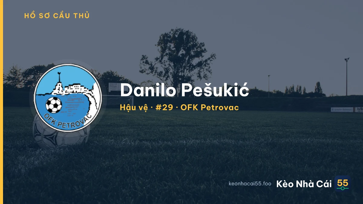 Danilo Pešukić — OFK Petrovac