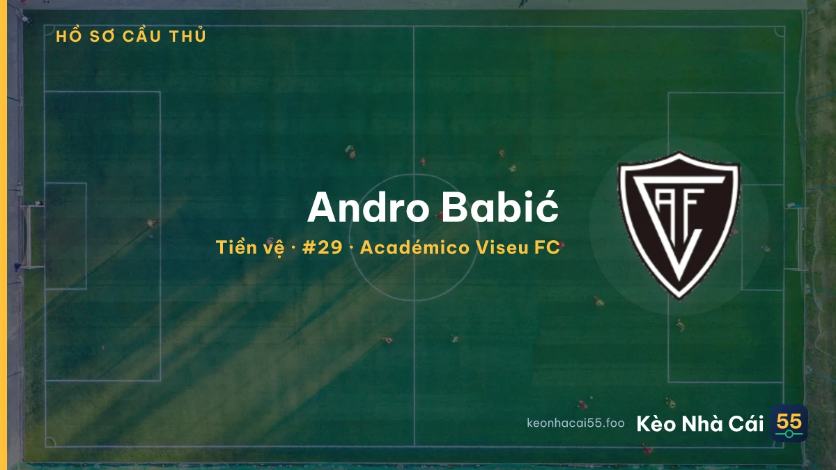 Andro Babić — Académico Viseu FC