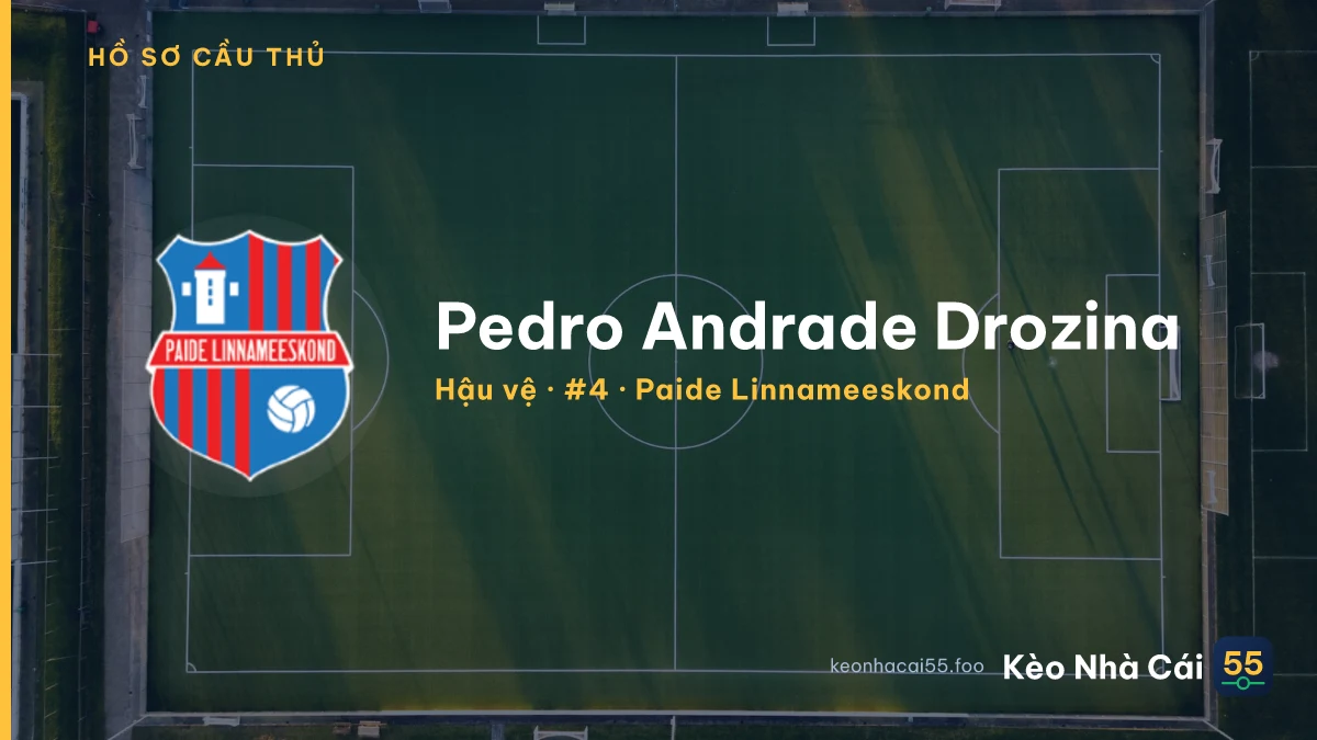 Pedro Andrade Drozina — Paide Linnameeskond