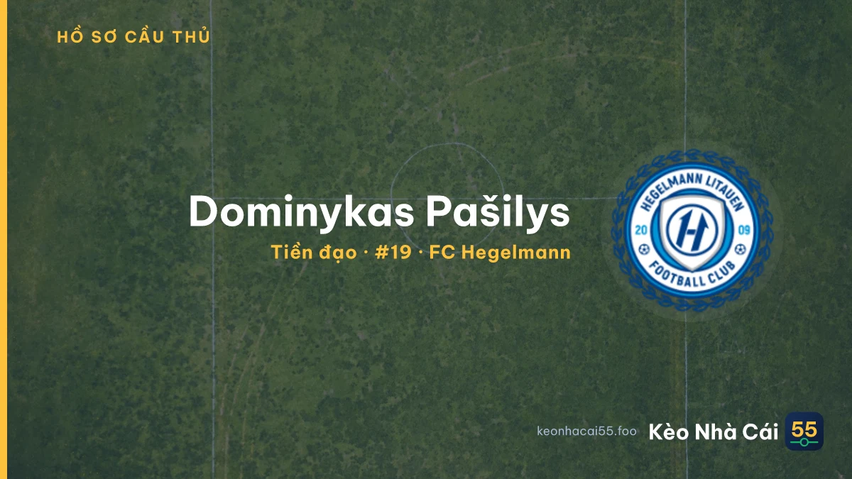 Dominykas Pašilys — FC Hegelmann