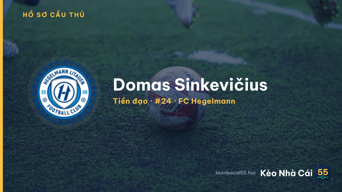 Domas  Sinkevičius — FC Hegelmann