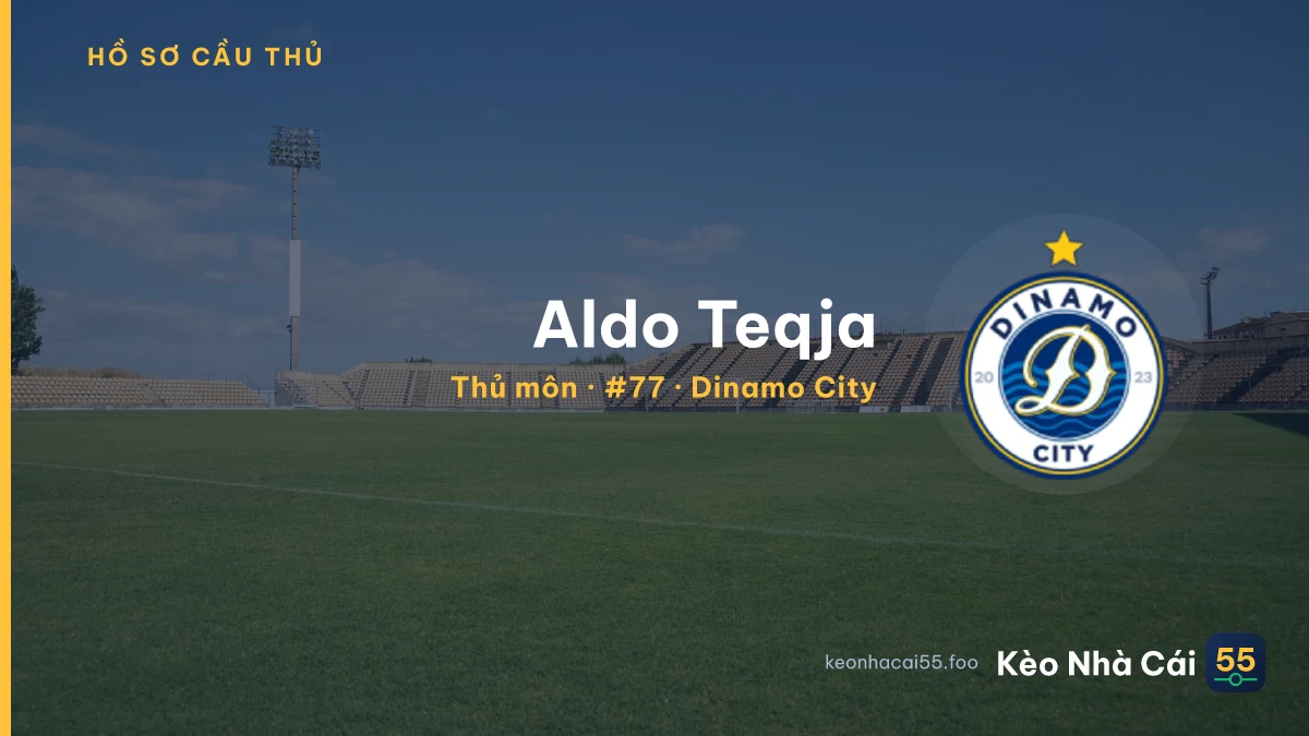 Aldo Teqja — Dinamo City
