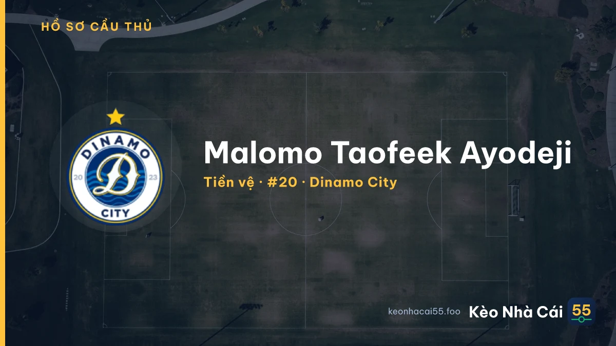 Malomo Taofeek Ayodeji — Dinamo City