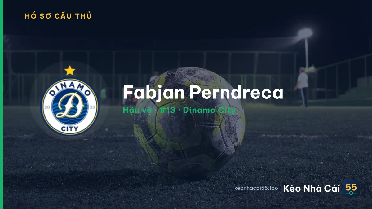 Fabjan Perndreca — Dinamo City