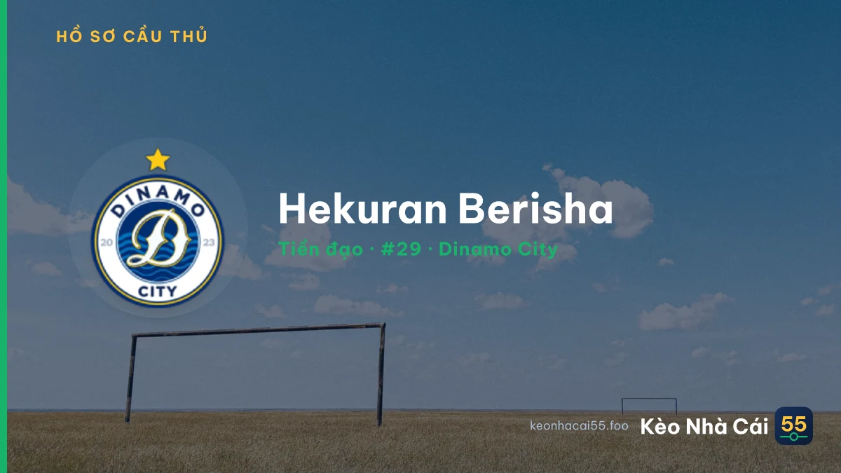 Hekuran Berisha — Dinamo City
