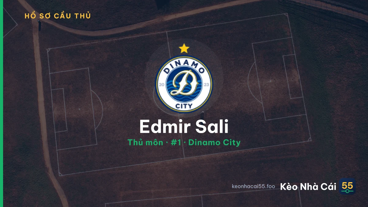 Edmir Sali — Dinamo City