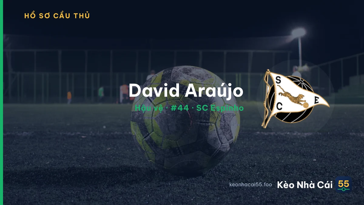 David Araújo — SC Espinho