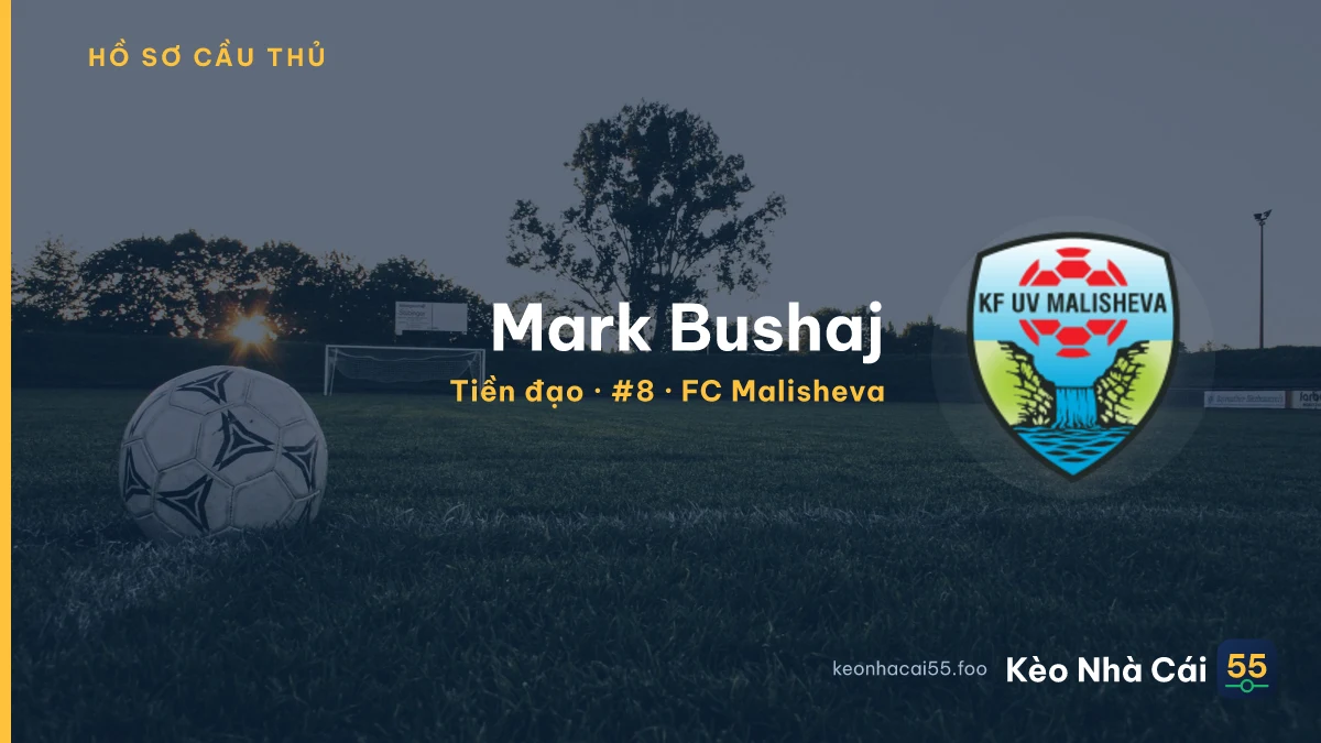 Mark Bushaj — FC Malisheva