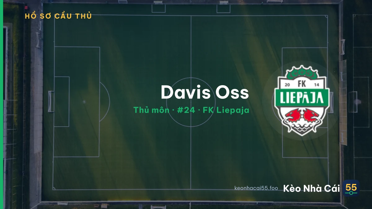 Davis Oss — FK Liepaja