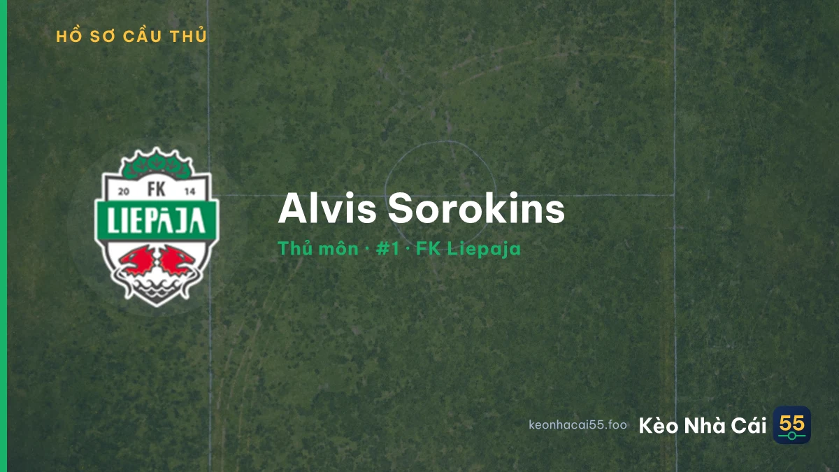Alvis Sorokins — FK Liepaja