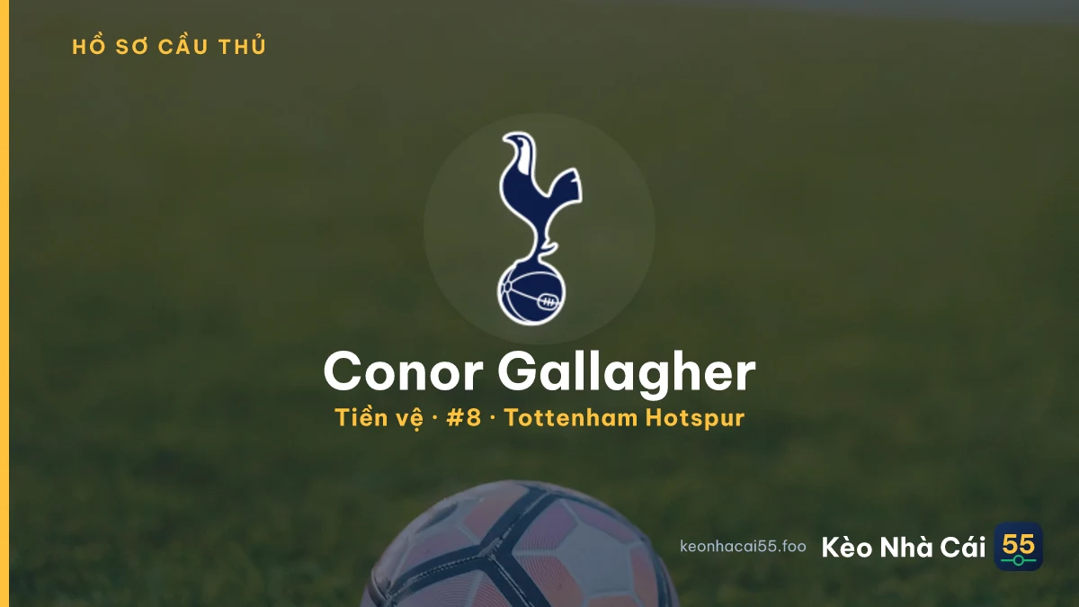 Conor Gallagher — Tottenham Hotspur