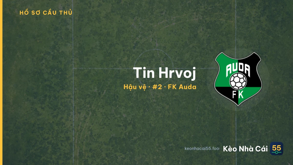 Tin Hrvoj — FK Auda