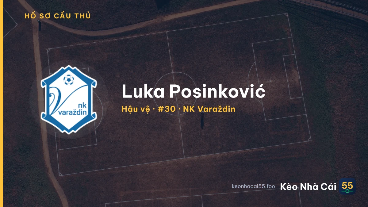 Luka Posinković — NK Varaždin