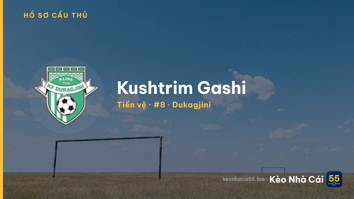 Kushtrim Gashi — Dukagjini