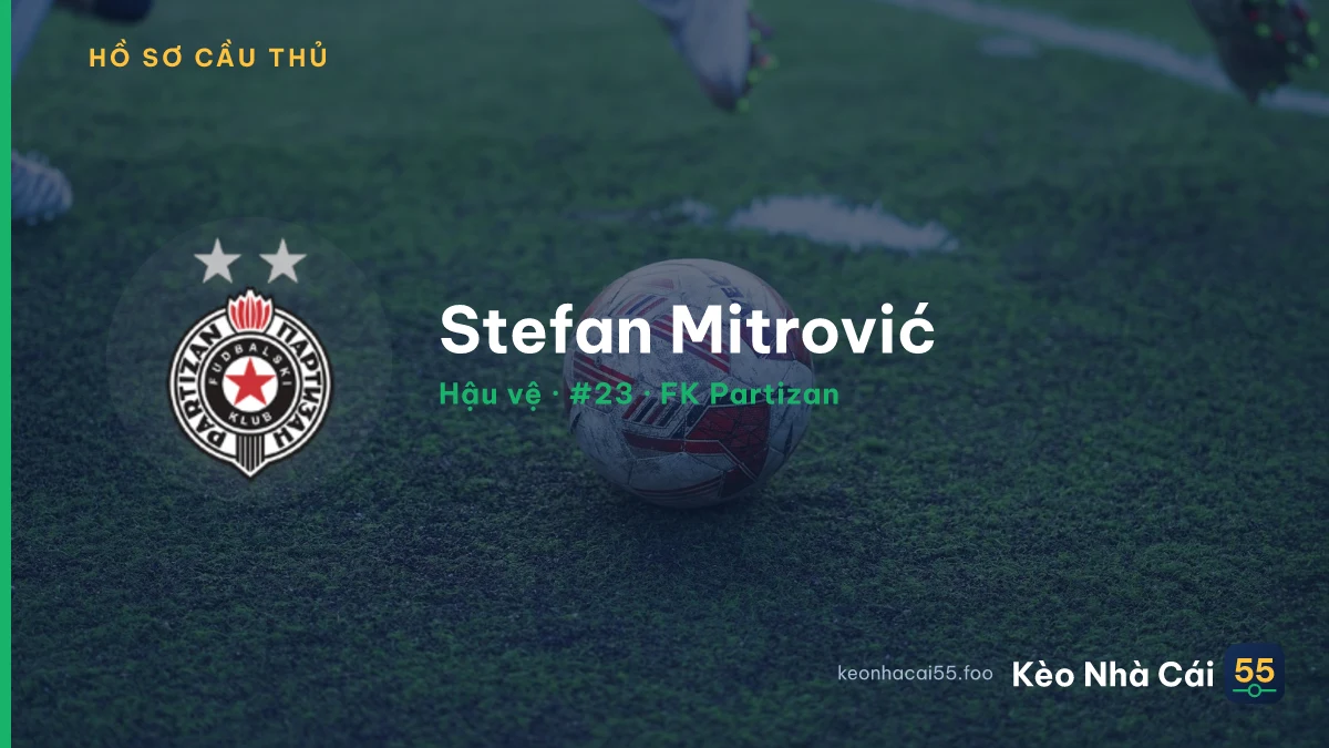 Stefan Mitrović — FK Partizan