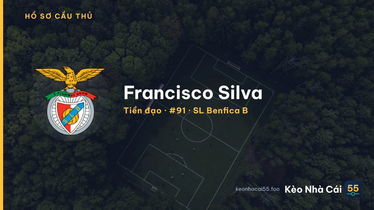 Francisco Silva — SL Benfica B