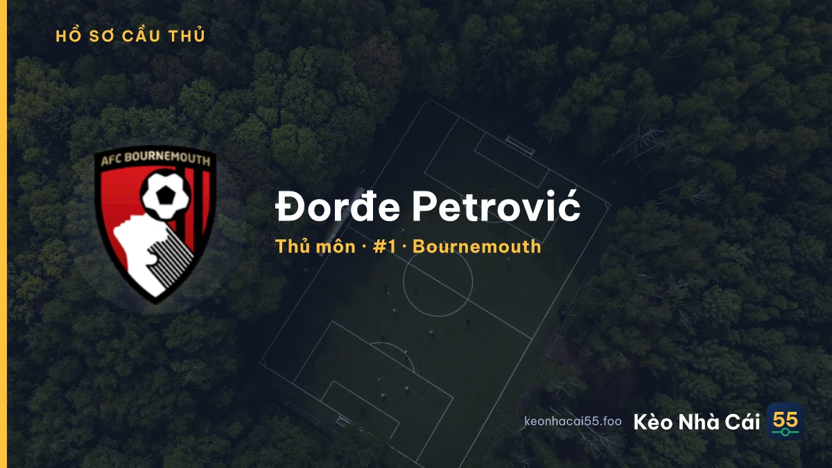 Đorđe Petrović — Bournemouth