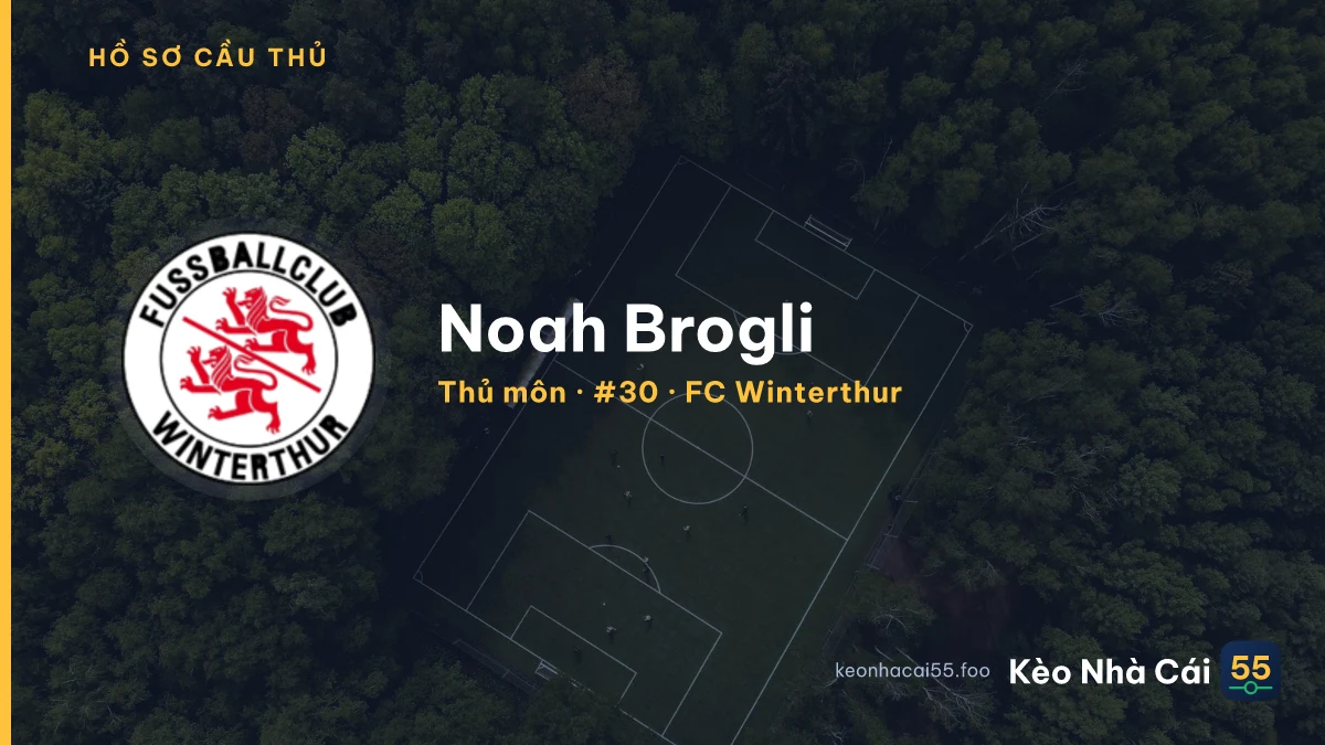 Noah Brogli — FC Winterthur