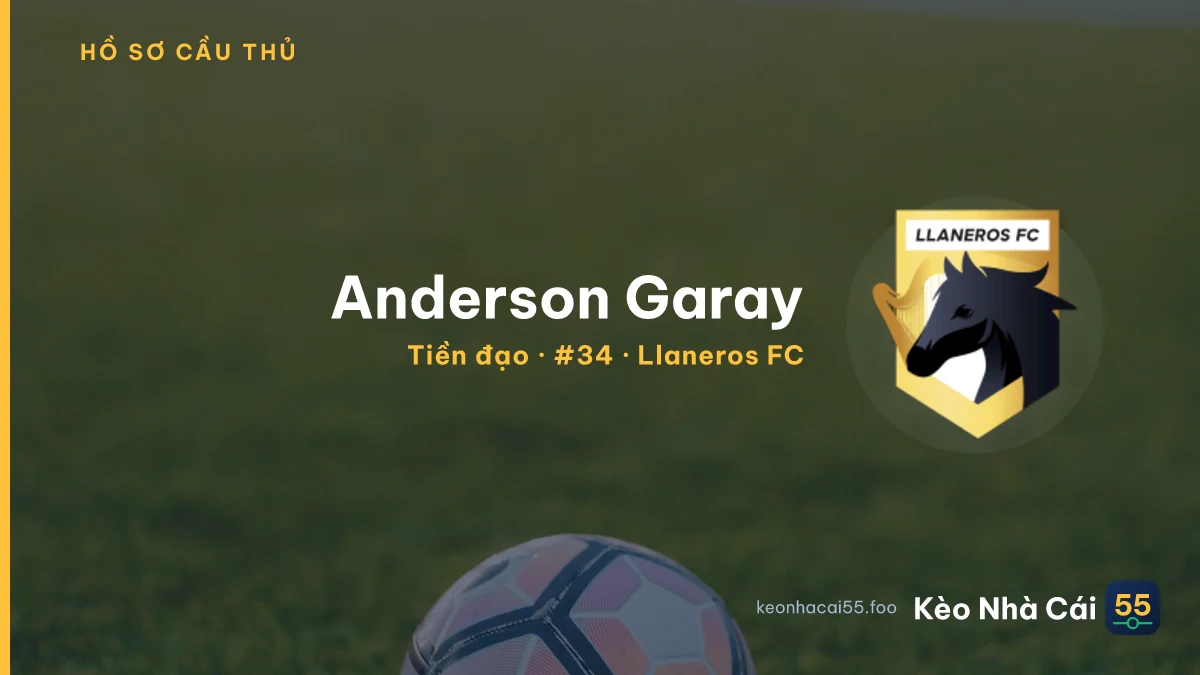 Anderson Garay — Llaneros FC