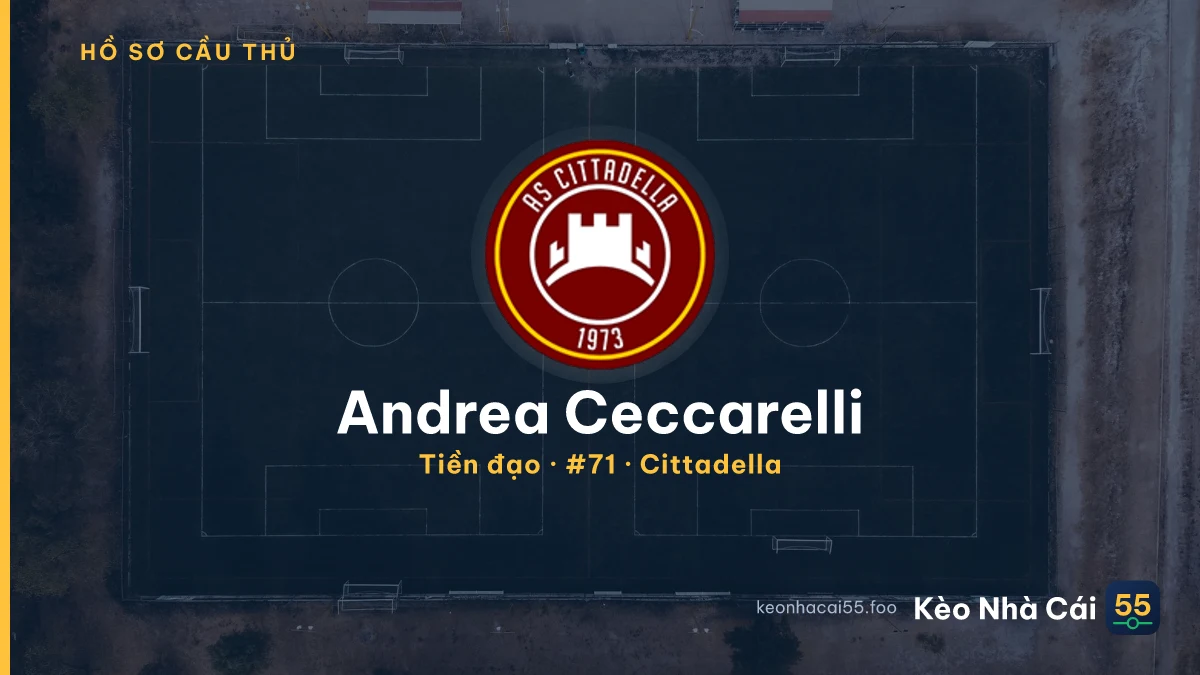 Andrea Ceccarelli — Cittadella