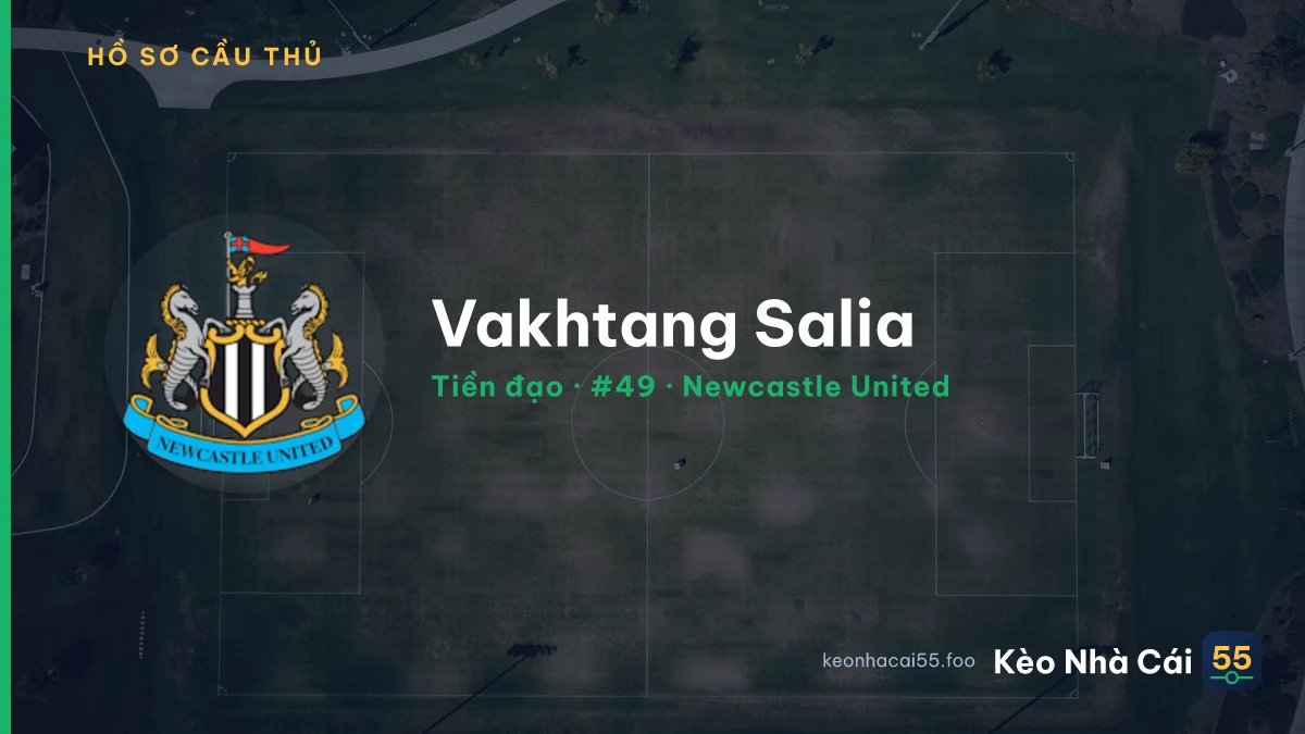 Vakhtang Salia — Newcastle United